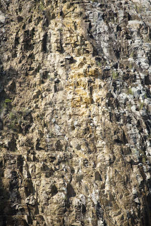 The texture of stone の写真素材