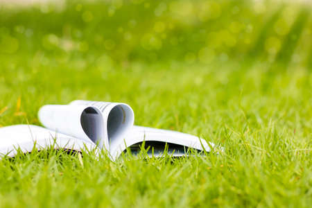 shape of a heart on a book on grass background and bokehの写真素材