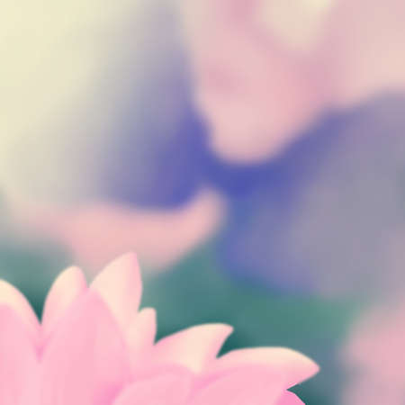 Abstract background illustrations with natural light and warm feeling, flowers bloom, and fresh fruitsの写真素材