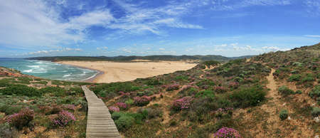 Panoramic picture of a beautiful beach in Portugal with wooden footpath and some heather in the foregroundの写真素材