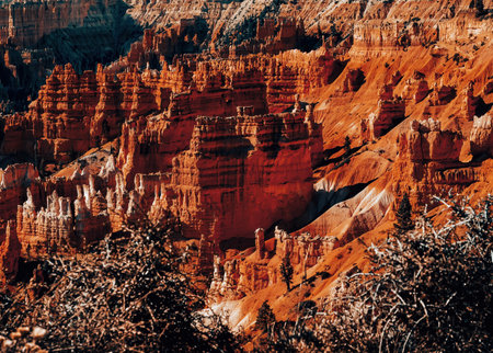Bryce Canyon National Park, Utah, United States of America.の写真素材