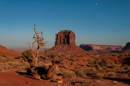 Monument Valley Navajo Tribal Park in Arizona, United States of Americaの写真素材