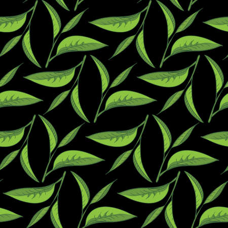 Seamless pattern illustrated nature, tea leaves. High quality tea drawing design elements.のイラスト素材