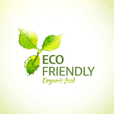 Watercolor drawing organic food label.のイラスト素材