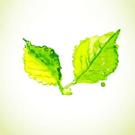 Watercolor drawing eco friendly label.のイラスト素材