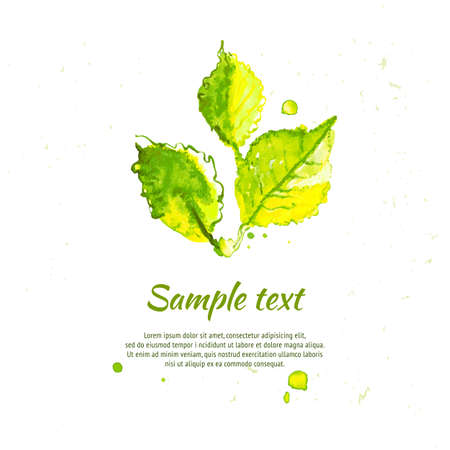 Vector green summer leaves illustration. Season background for outdoor advertising.のイラスト素材