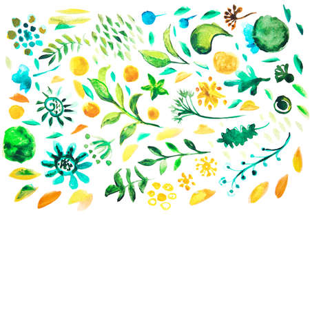 Watercolor rastr pattern. Hand drawing floral decorative elements. Alternative healthcare service illustration.のイラスト素材