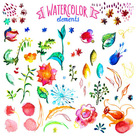 Watercolor vector collection. Hand drawing floral decorative elements.のイラスト素材