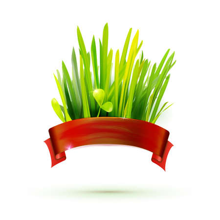 Red ribbon with realistic grass illustration. Creative promotional vector banner. Eco friendly food design. Farm product label.のイラスト素材