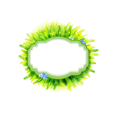 Vintage label with realistic green grass, chamomile and flowers. Vector illustration for season label. Spring and summer eco friendly grass label. Fresh farm product logo. Alternative herbal medicineのイラスト素材