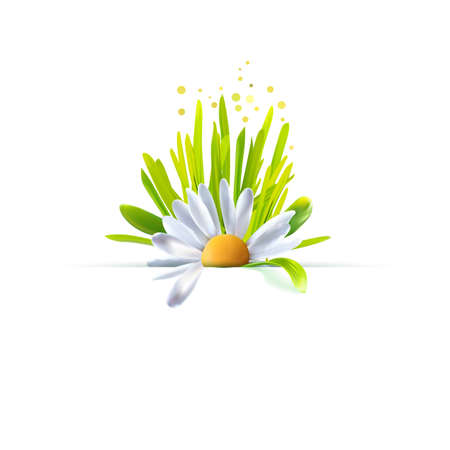 Summer time decorative element. Fresh spring background with grass, flower of chamomileのイラスト素材