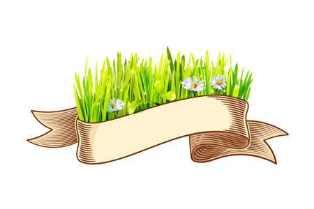 Ribbon with green grass and chamomileのイラスト素材