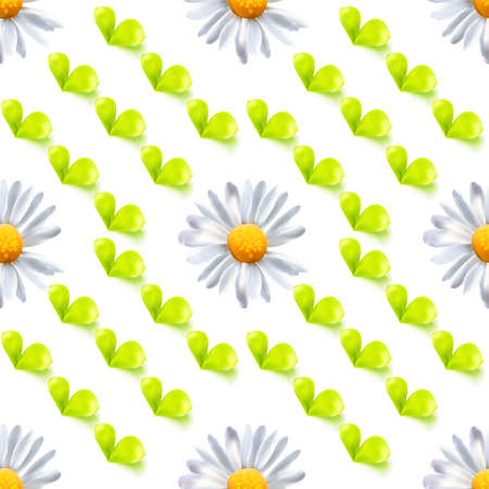 Seamless pattern with leaves and chamomileのイラスト素材