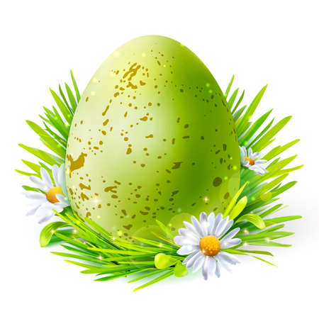 Green egg with spots on grassのイラスト素材