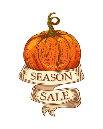 Season sale ribbon with pumpkinのイラスト素材