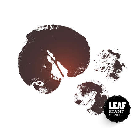 Vector design template. Ink splashes element from nature series. Leaf print. Hand made Ink stamp of a leaf. Seasons changing.のイラスト素材