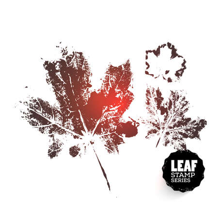 Maple leaf print variantsのイラスト素材