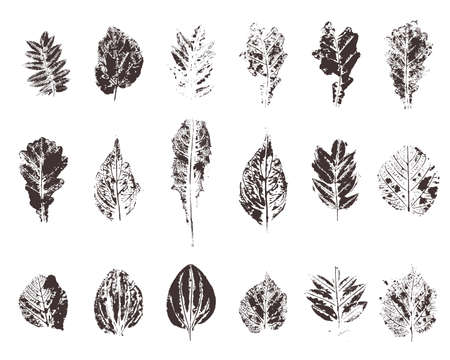 Stamp leaves setのイラスト素材