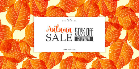 Autumn sale banner with fall leavesのイラスト素材