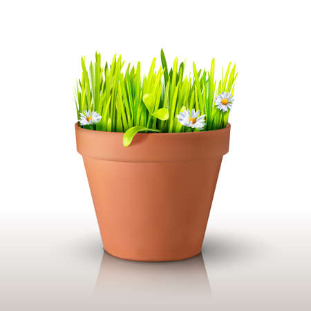 Grass and chamomile in a clay peat pot isolated on white background. Realistic mesh design. Vector illustration. Season symbol object.のイラスト素材