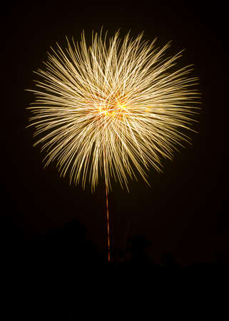 Buetyfull Fireworkの写真素材