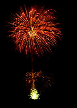 Art Firework like a Treeの写真素材