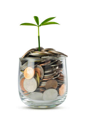 Saving money into bottle, Plant Growing In Savings Coins - Investment And Interest Conceptの写真素材