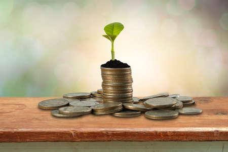 Stack of coins with small plant growing out of it - Investment And Interest Conceptの写真素材