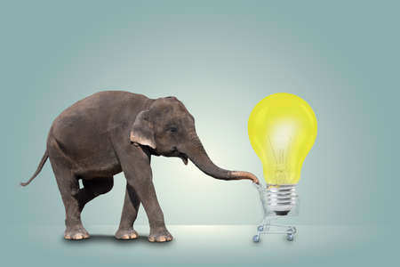 Elephant and shopping cart with Light Bulb, big shoppingの写真素材