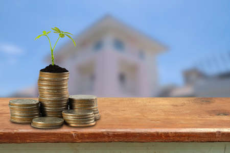 Bank, piggy bank, money, coins, concept, tree, sprout growing on glass piggy bank with home in saving money concept.の写真素材