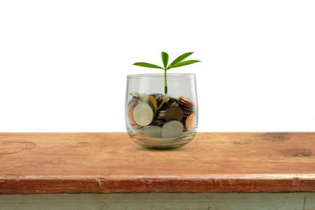 Plant Growing In Savings Coins - Investment And Interest Conceptの写真素材