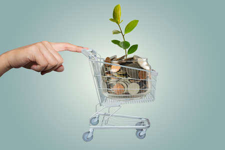 Hand with Shopping cart of moneyの写真素材