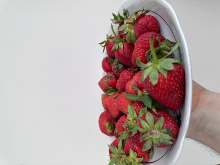 Fresh strawberries in the hand in a bowl on a white backgroundの写真素材