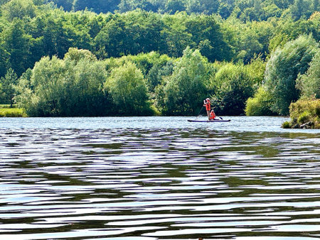Paddleboarding on a lake in the forest. summertime. Two people in orange inflatable vests are paddling on a paddle board on a beautiful lake among green trees on a summer day.の写真素材