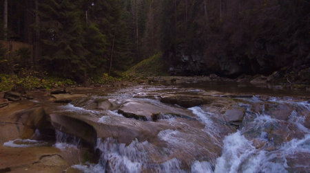 Mountain river in the Carpathian mountains in Ukraine in the eveningの写真素材