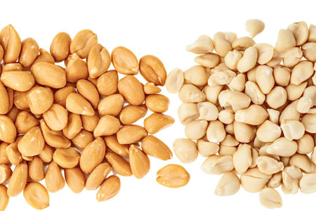 Peanuts are a popular snack and ingredient in many dishes, known for their nutritional value and...
