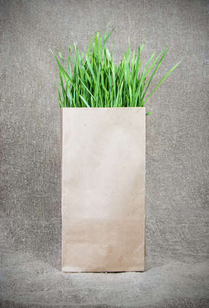 fresh green grass on sacking backgroundの写真素材