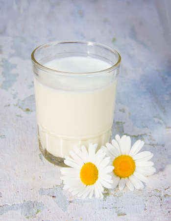 glass with milk and camomiles a shabby wooden backgroundの写真素材