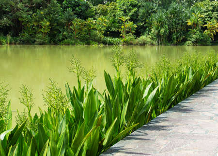 beautiful park