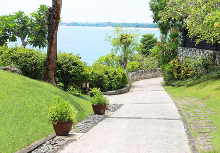 path in the gardenの写真素材