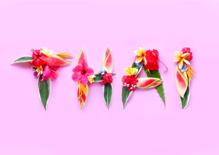 Floral collage " Thailand" isolated on pink backgroundの写真素材