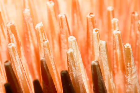 An enlarged view of the toothpick.の写真素材