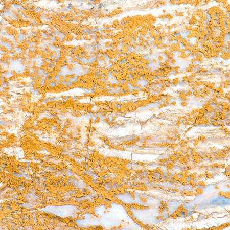 Stone texture background.(Dolomite stone)