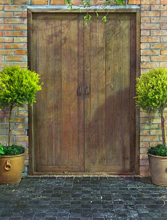 Old door and wall Potted tree left and right side.の写真素材