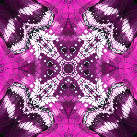 Butterfly, Beautiful seamless pattern made from butterfly wingの写真素材