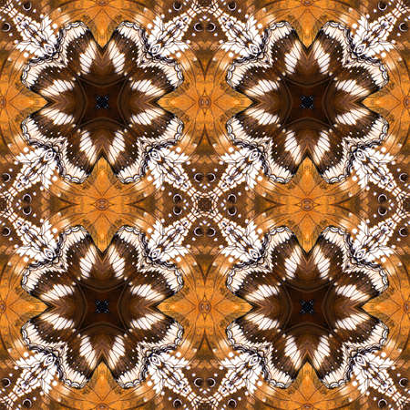 Butterfly, Beautiful seamless pattern made from butterfly wing