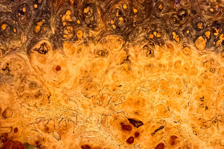 wood texture.の写真素材