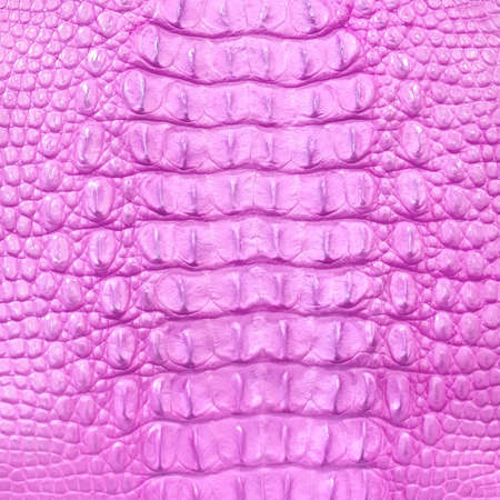 Leather texture background,crocodile leatherの写真素材