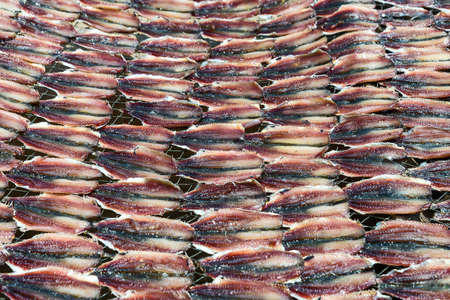 Halved mackerels become steel lattices air-dried.の写真素材