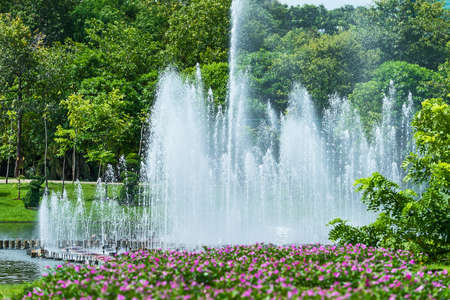 Fountain in the park.の写真素材